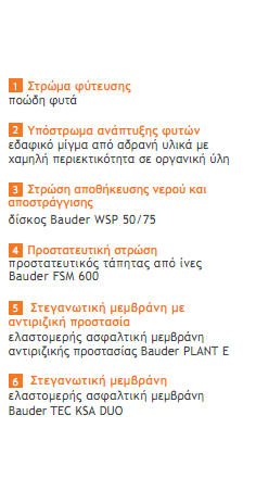 WSP 50/75