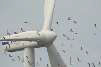 image of a windpark